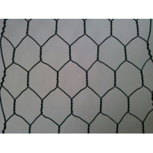 Galvanized Hexagonal Wire Netting/Hexagonal Wire Mesh/Chicken Wire Mesh